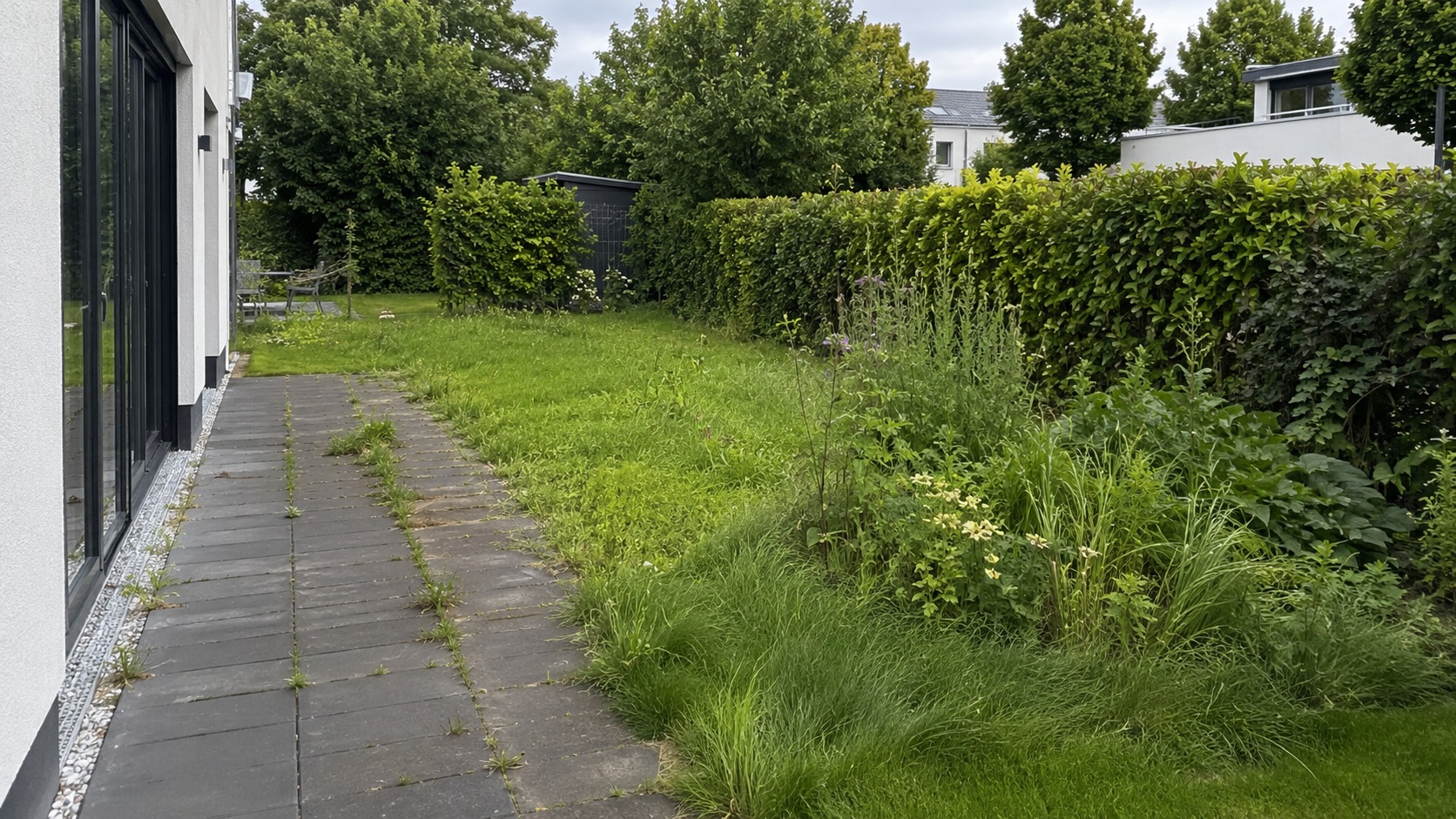 Wildwuchs entfernt – vorher
