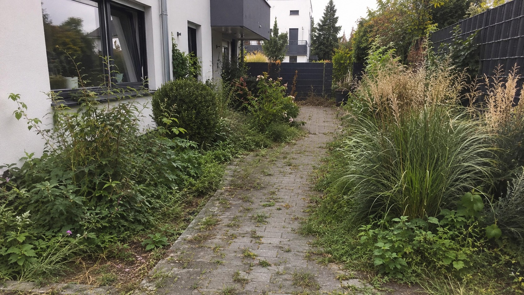 Wege & Beete wieder ordentlich – vorher